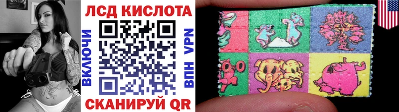 где можно купить   Южа  Марки N-bome 1,8мг 