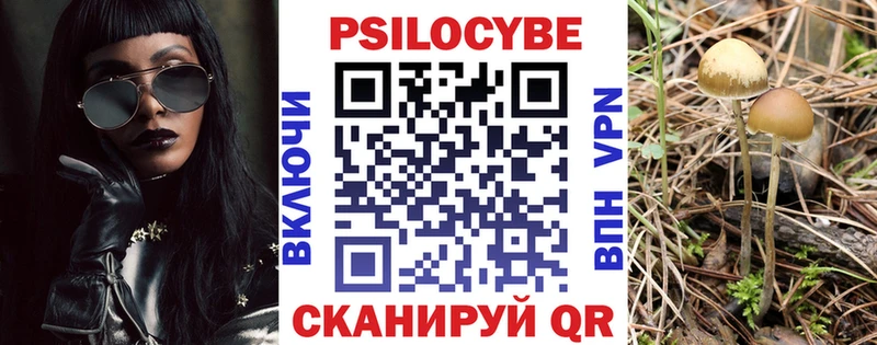 Псилоцибиновые грибы мицелий Южа