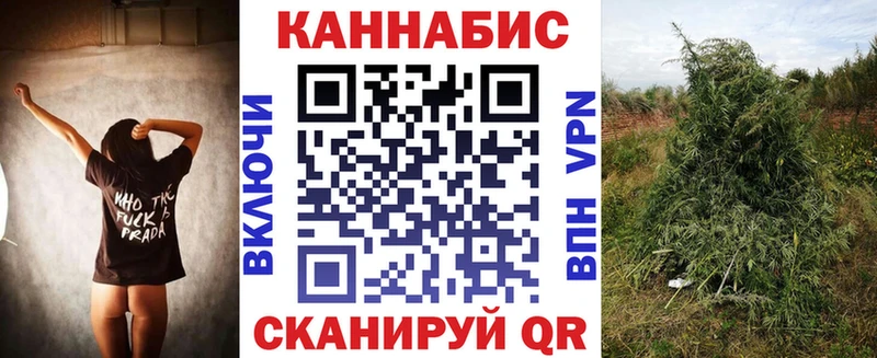 Бошки марихуана White Widow  наркошоп  Южа 